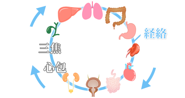 12の臓腑