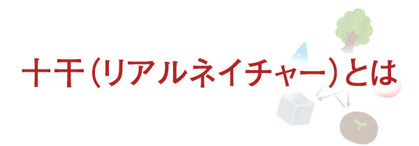 十干（リアルネイチャー）とは