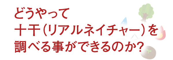 どうやって十干（リアルネイチャー）を調べる事ができるのか？