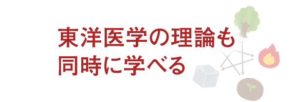 東洋医学の理論も同時に学べる