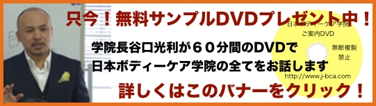 只今！無料サンプルDVDプレゼント中！